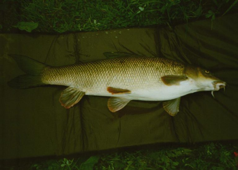 Image6 Prince Albert Angling Society